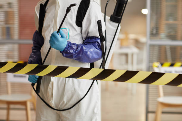 Professional Sewage Cleanup technician working in Saint James, NY